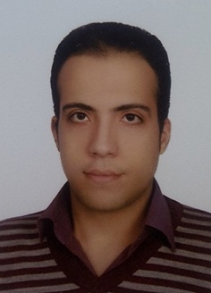 Sajjad Amini